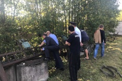 Лоси начинают выходить на территорию города