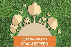 В Калининском районе стартовал 7-й экомарафон по сдаче макулатуры в обмен на саженцы