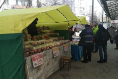 Пресечено самовольное размещение нестационарных торговых объектов