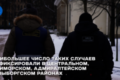 Рассказали в студии "Город+" о том, как не получить штраф за прогулку с собакой