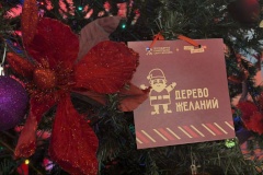 Петроградский район присоединился к городской благотворительной акции «Дерево желаний»