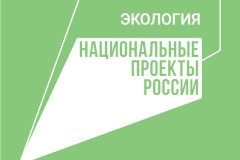 Опыт Петербурга по управлению водными ресурсами одобрен на межрегиональном уровне
