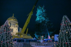 В Кронштадт привезли 15‑метровую новогоднюю ель