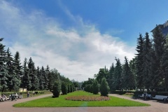 Василеостровский сад признан объектом культурного наследия регионального значения