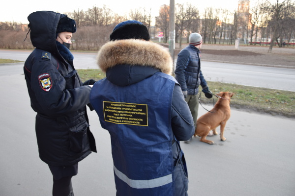 «Собачников» Кировского района призвали к соблюдению закона