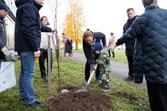 На родине Гейченко в Петергофе посадили молодые липы из Пушкиногорья