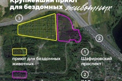 Стало известно, где расположится новый ветеринарный центр с приютом для бездомных животных в Красногвардейском районе