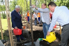 В честь 315-летия города в  Пулковском парке появилась аллея