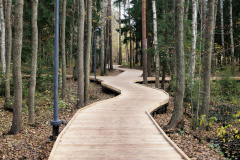 Петродворцовый район одержал победу в ежегодном смотре-конкурсе на лучшее комплексное благоустройство