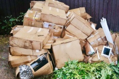Порядка 8000 бесхозных ртутных ламп собрали экологи в Выборгском районе