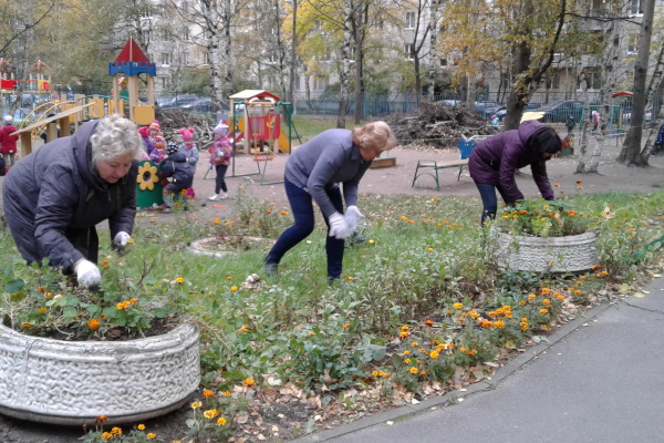 В рамках осеннего месячника по благоустройству состоялась уборка территории детского сада № 114