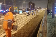 На территории Фрунзенского района работают 400 дворников