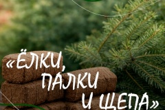 Акция «Ёлки, палки и щепа» в Кировском районе