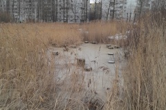 Сквер на Пулковском шоссе участвует в онлайн-голосовании по выбору объектов благоустройства