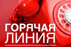Горячая линия по вопросам выплат на детей в возрасте от 3 до 7 лет