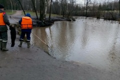 Порядка 46 тонн опасных отходов собрали экологические службы за неделю