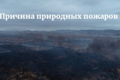 Причина пожаров - человек (15 сек.)