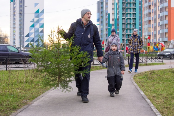 Жители Кировского района могут сдать новогодние ели для их последующей переработки