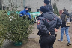 По просьбе жителей в Петербурге ликвидировали незаконный елочный базар
