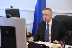 Петербургские учреждения культуры успешно освоили новые формы работы