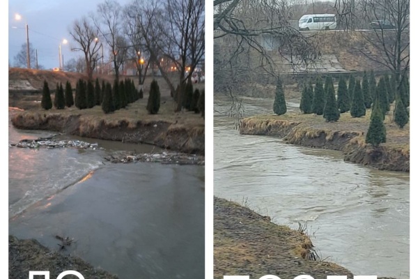 Экологи убрали мусор из реки Дудергофки