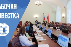 В администрации Петродворцового района успешно завершены пять проектов по программе «Эффективный регион»