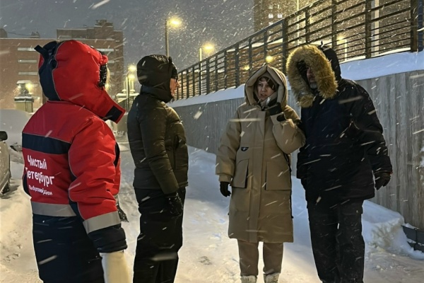 Заместитель главы администрации Елена Осипова проинспектировала качество уборки в квартале на Парнасе