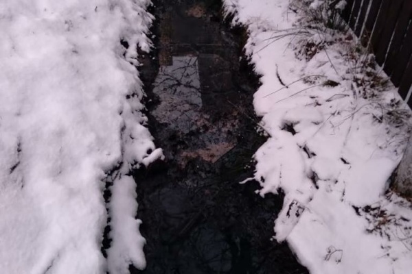 Экологические аварийные службы за неделю приняли более 200 обращений