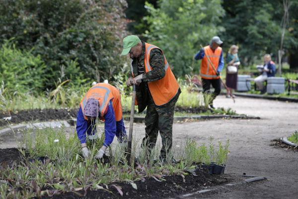 Благоустройство Московского сада