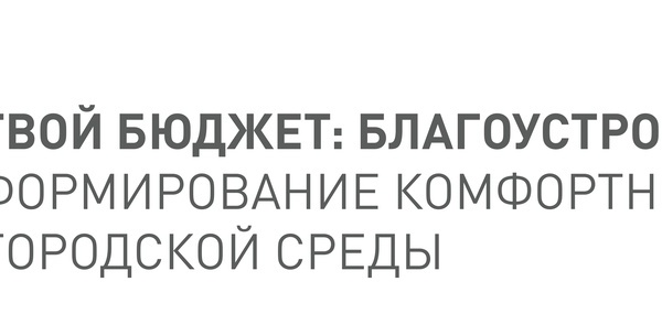 Выборгский район принимает активное участие в городском проекте «Твой бюджет. Благоустройство. Комфортный Петербург»