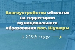 В 2025 году в Шушарах будет произведено благоустройство внутридворовых территорий. Привычные дворы в поселке ждут позитивные изменения.