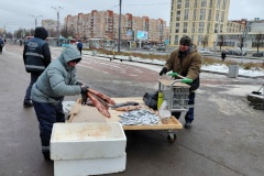 Около 30 земельных участков освобождено от незаконных объектов торговли