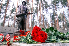 В День неизвестного солдата губернатор возложил цветы к мемориалу в Сестрорецке