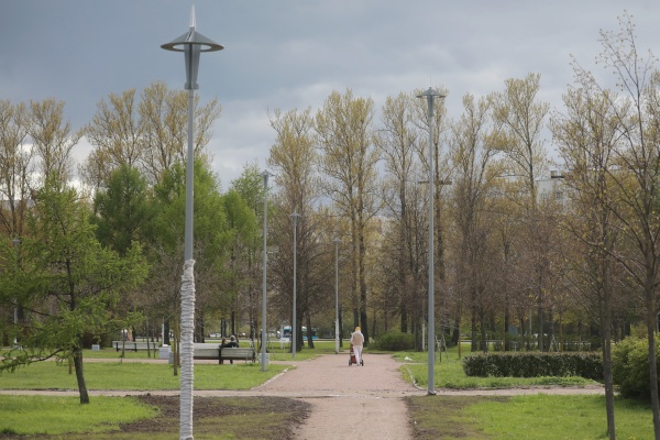 В Пулковском парке завершили установку фонарей