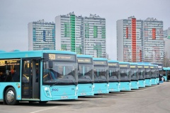 В Петербург прибыли почти 80 новых автобусов большого и особо большого класса