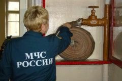 Инспекторы ОНД Центрального района провели 1247 проверок