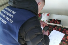 В первую неделю апреля в Петербурге проведены рейдовые мероприятия по уличной торговле, в результате которых от несанкционированных торговых точек освобождено более 60 участков городской земли