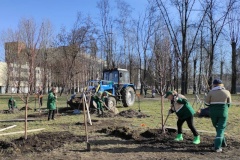 В Виноградовском сквере посадили яблони