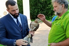 Возвращение в дикую природу
