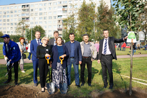 Транспортники посадили на своей аллее Дерево Надежности, Дерево Обновления и Дерево Славы 