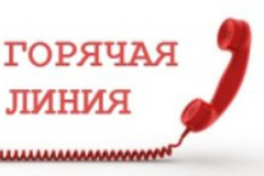 Горячая телефонная линия в администрации Адмиралтейского района