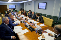 Представители Комитета по природопользованию обсудили вопрос берегозащиты побережья Финского залива в Совете Федерации