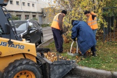 Фрунзенский район принимает активное участие в осеннем месяце благоустройства