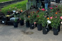 В Петродворцовом районе проходят регулярные рейды по пресечению несанкционированной торговли