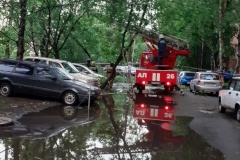 Из-за грозы в Купчино упали более 25 деревьев