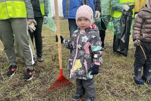 Петербург вошел в число самых активных регионов ГЕН уборки