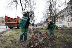 В Петербурге стартовал традиционный месячник по благоустройству