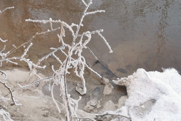 Суд рассмотрит возможность приостановки деятельности бетонного завода