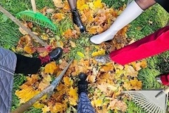 В Пушкинском районе стартовал осенний субботник! 🍂