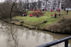 Волонтёры собрали более 500 кг мусора и листьев с берегов реки Оккервиль